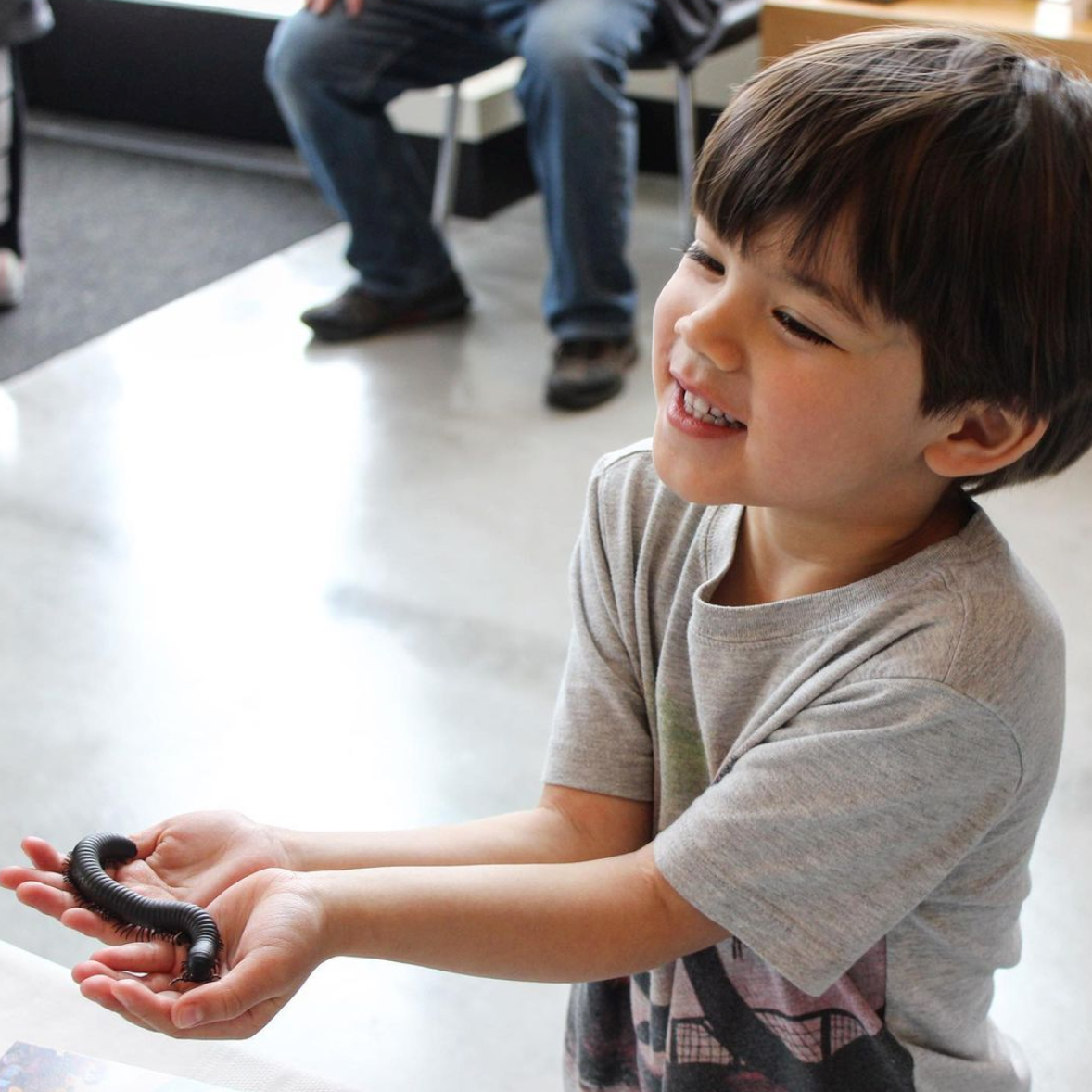 Photo 5 from SaveNature.Org