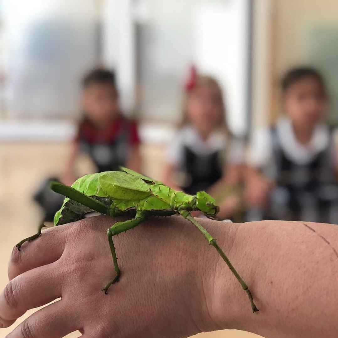 Photo 6 from SaveNature.Org