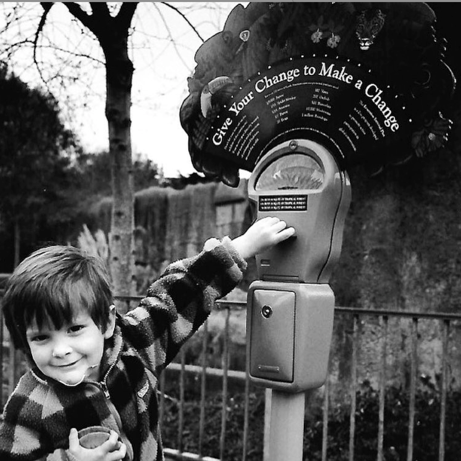 Photo 7 from SaveNature.Org