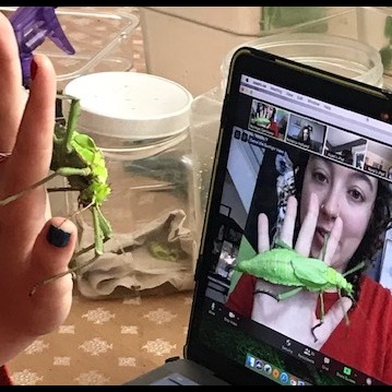 Photo 9 from SaveNature.Org