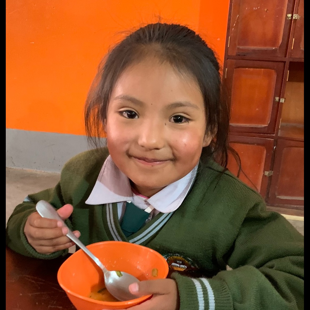 Photo 1 from Help Bolivia Foundation