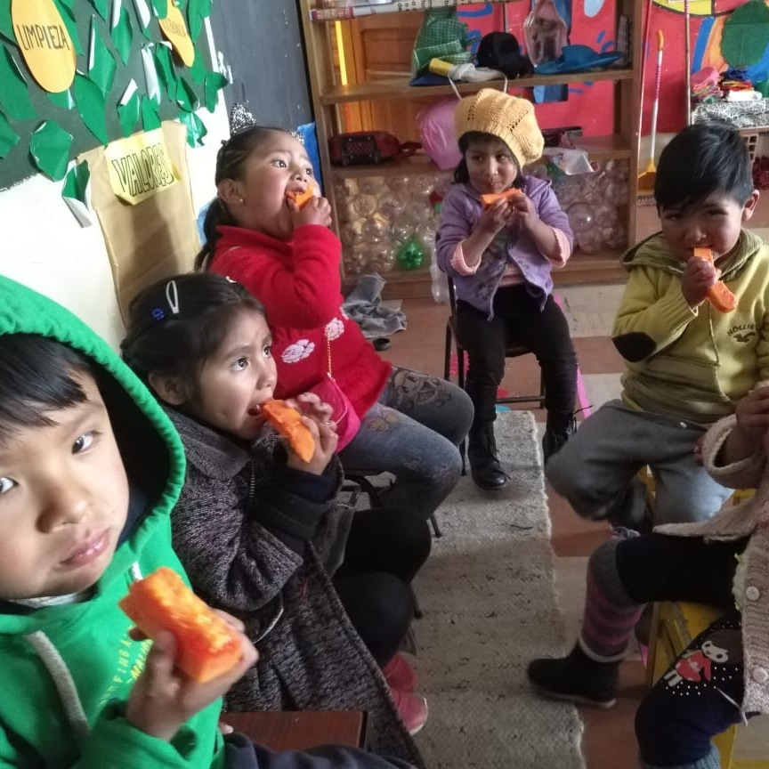 Photo 8 from Help Bolivia Foundation