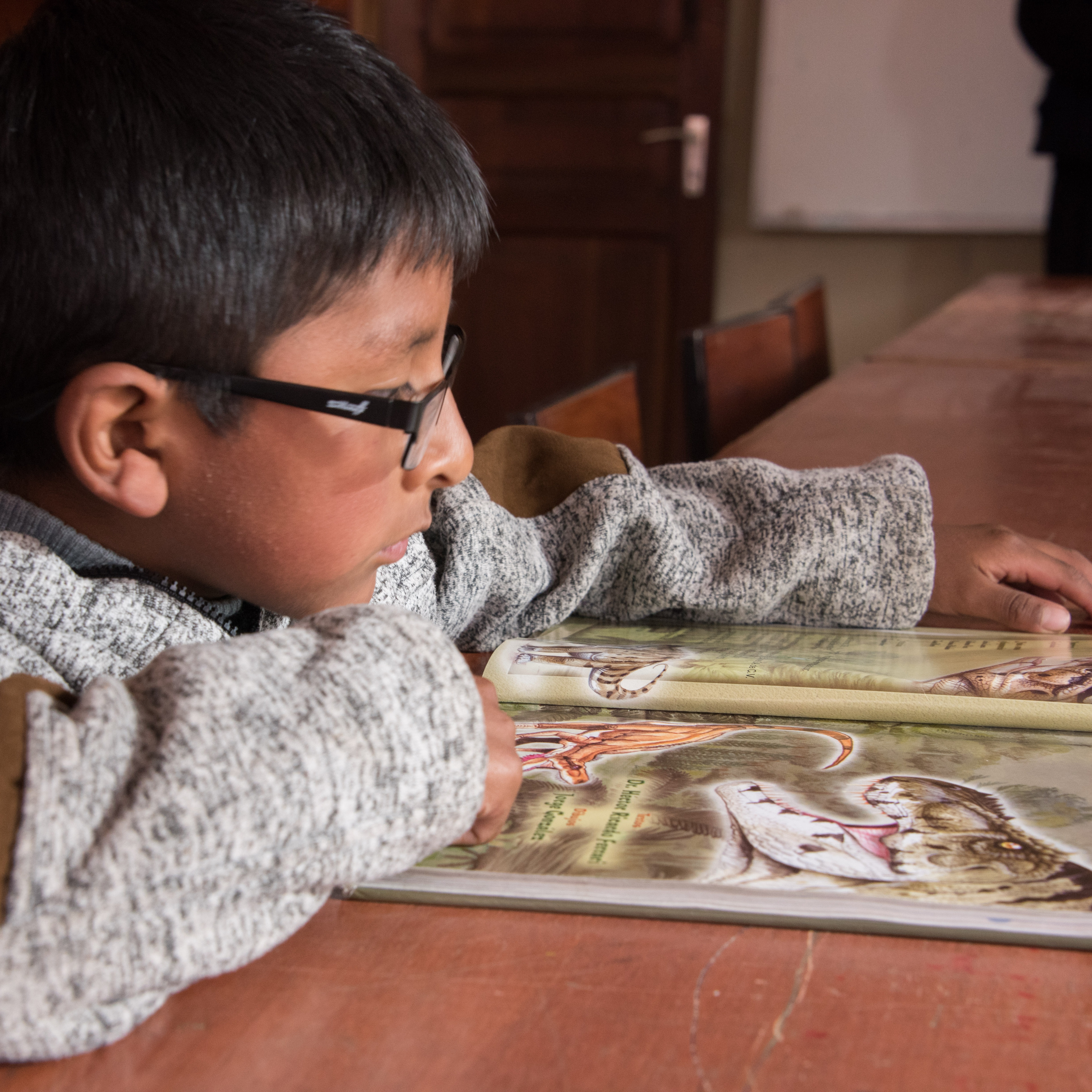 Photo 9 from Help Bolivia Foundation