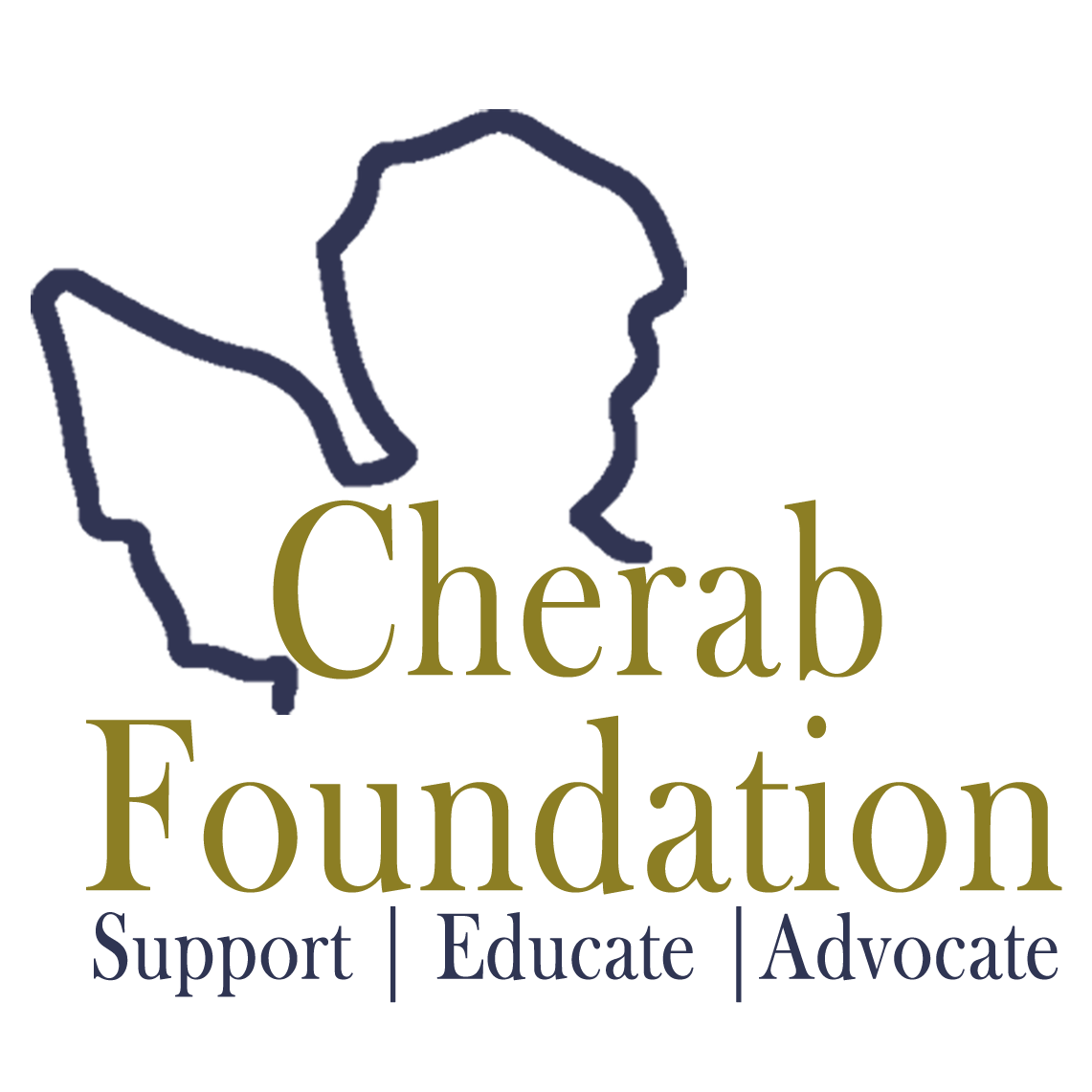 Cherab Foundation