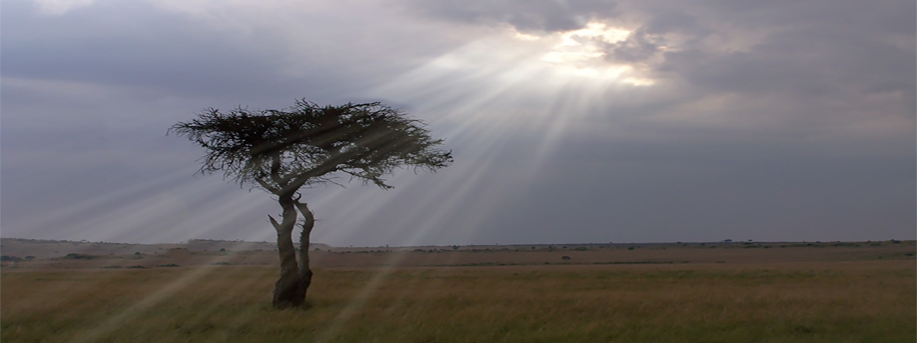 EAST AFRICA PARTNERSHIP