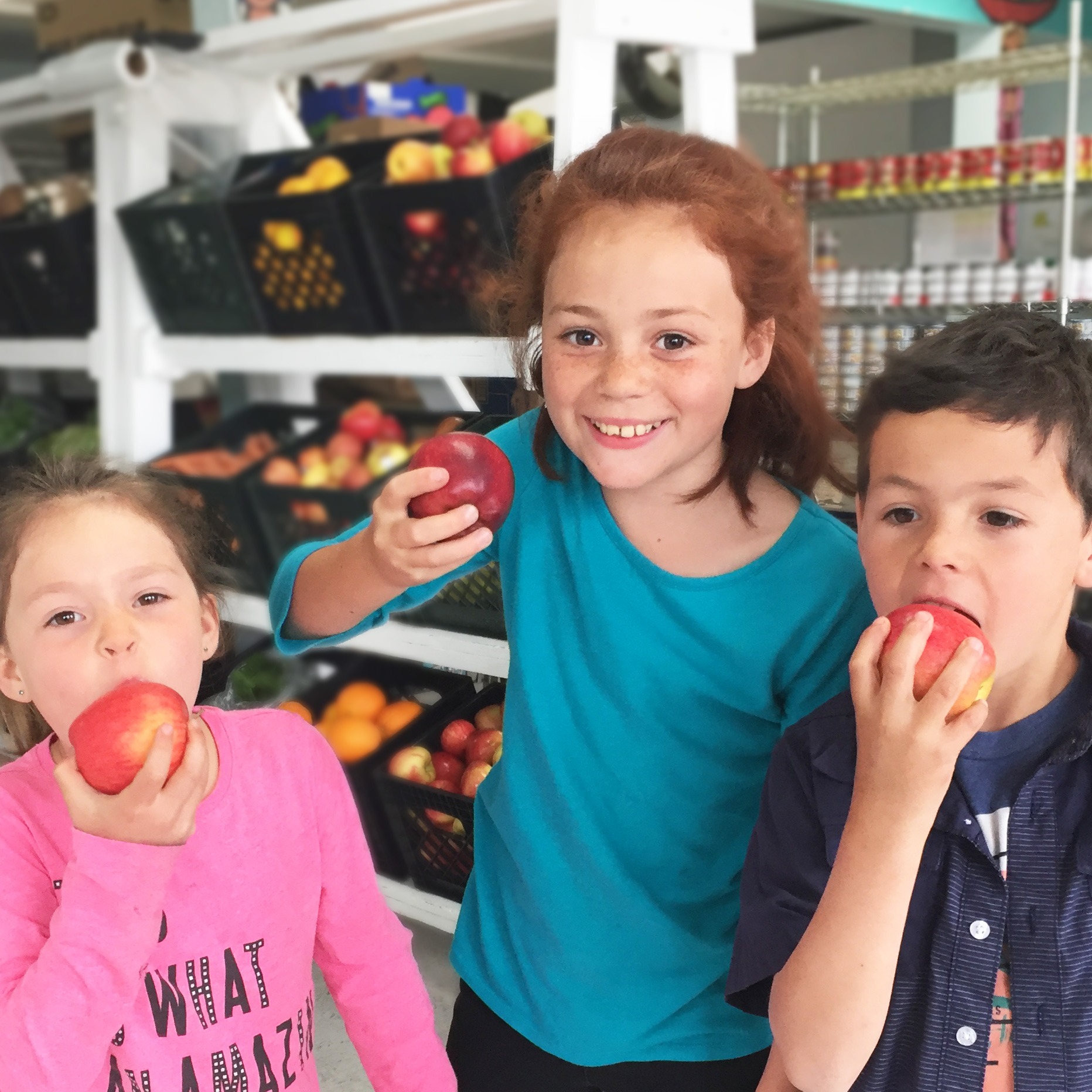 Photo 3 from FOOD FOR PEOPLE INC