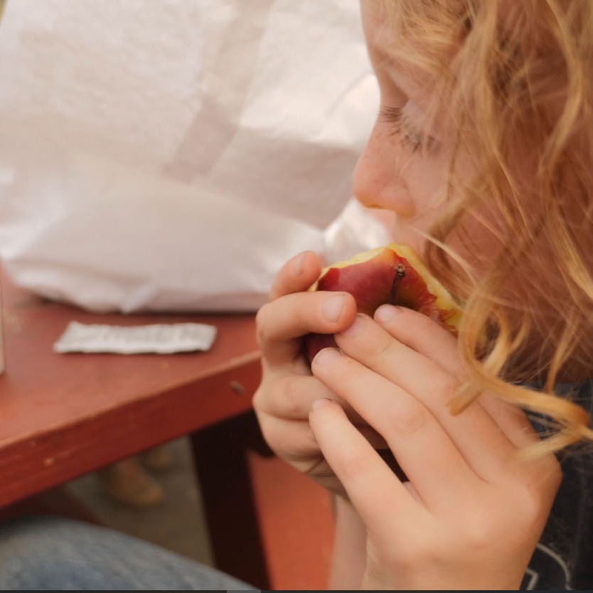 Photo 7 from FOOD FOR PEOPLE INC