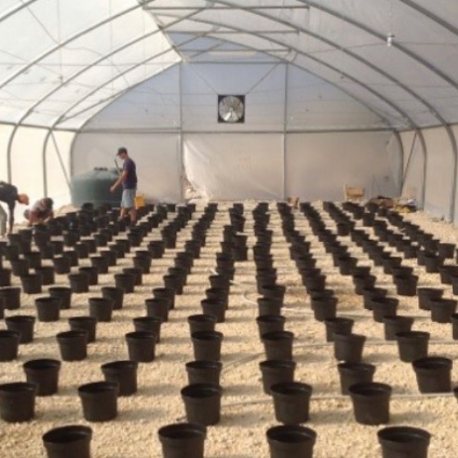 Photo 9 from HaitiChildren