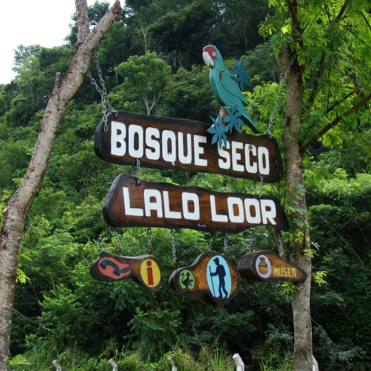 Photo 3 from CEIBA Foundation for Tropical Conservation Inc.