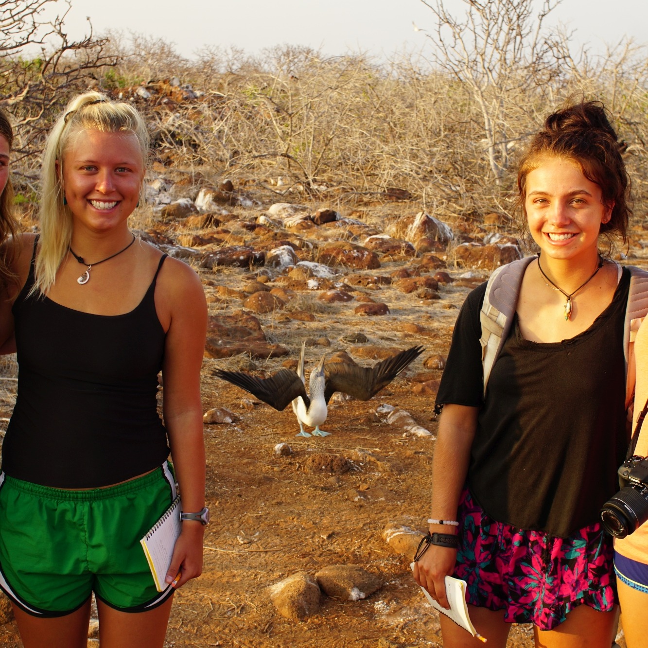 Photo 6 from CEIBA Foundation for Tropical Conservation Inc.