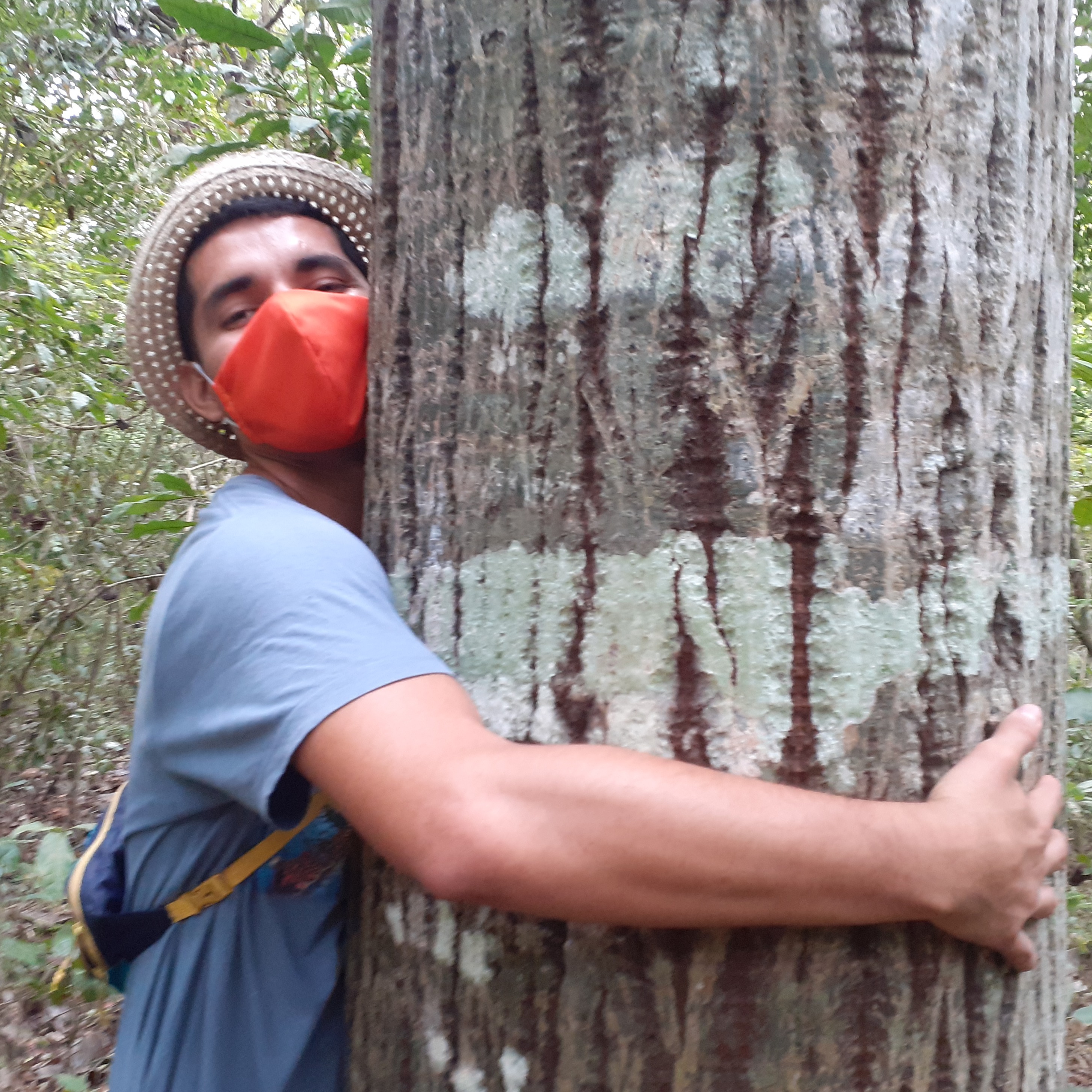 Photo 8 from CEIBA Foundation for Tropical Conservation Inc.