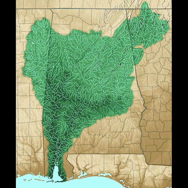 Photo 7 from Mobile Baykeeper