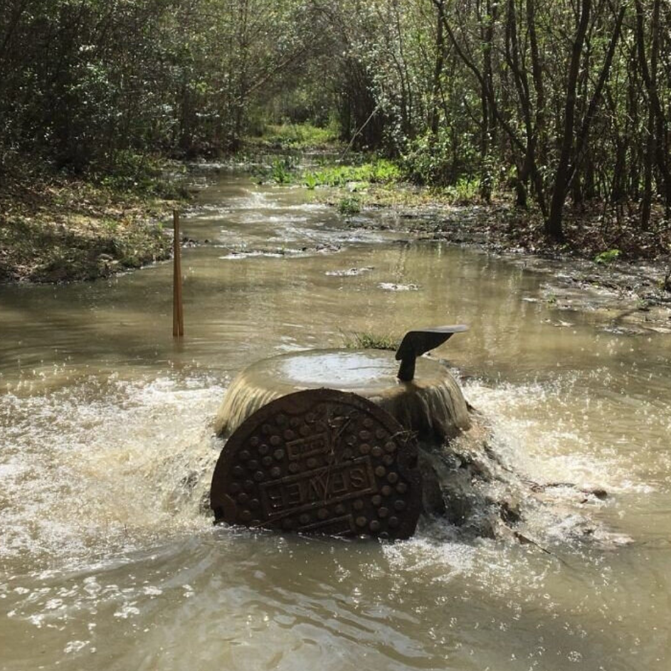 Photo 4 from Mobile Baykeeper