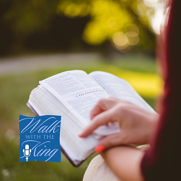 Photo 8 from Walk With The King, Inc.