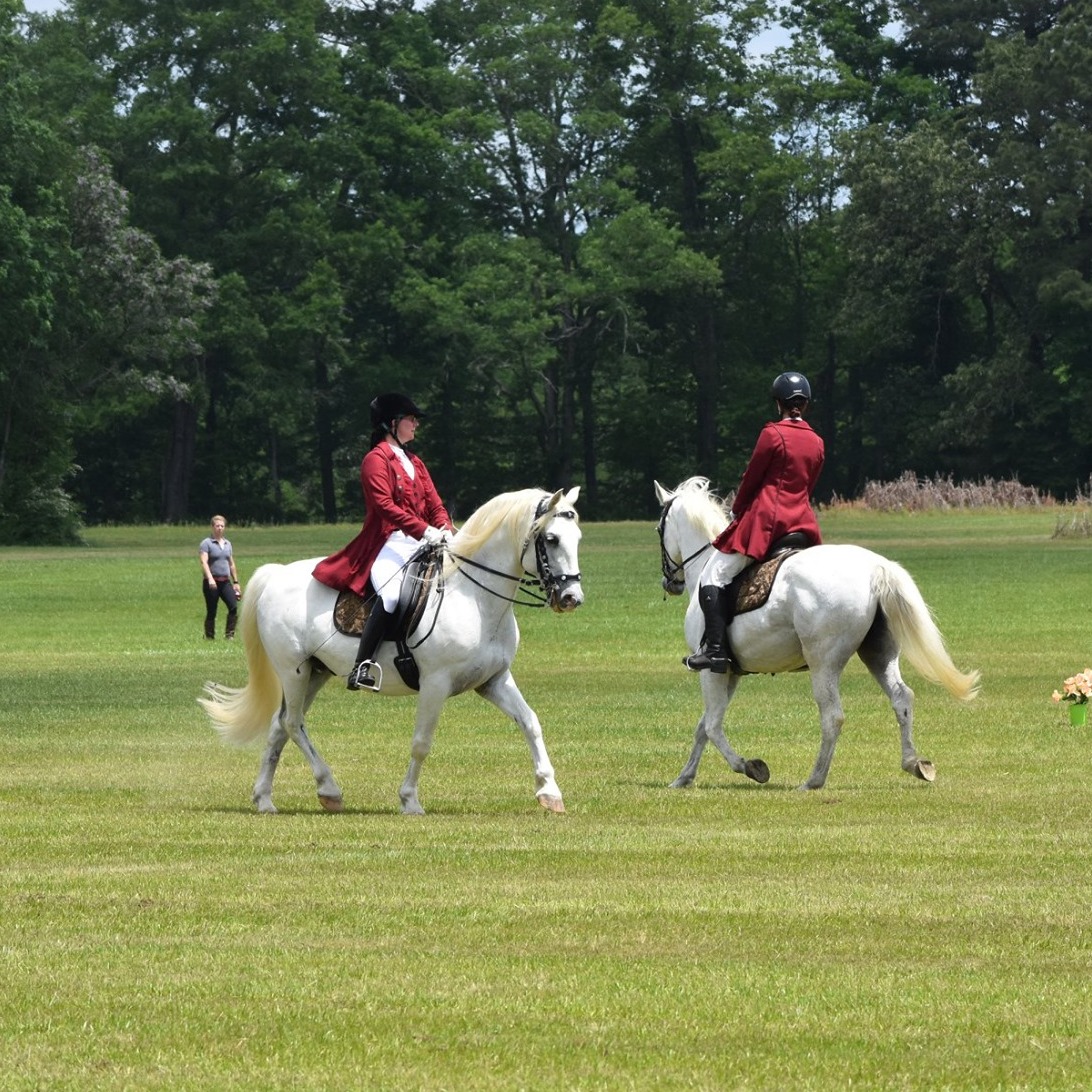 Tempus Renatus School of Classical Horsemanship