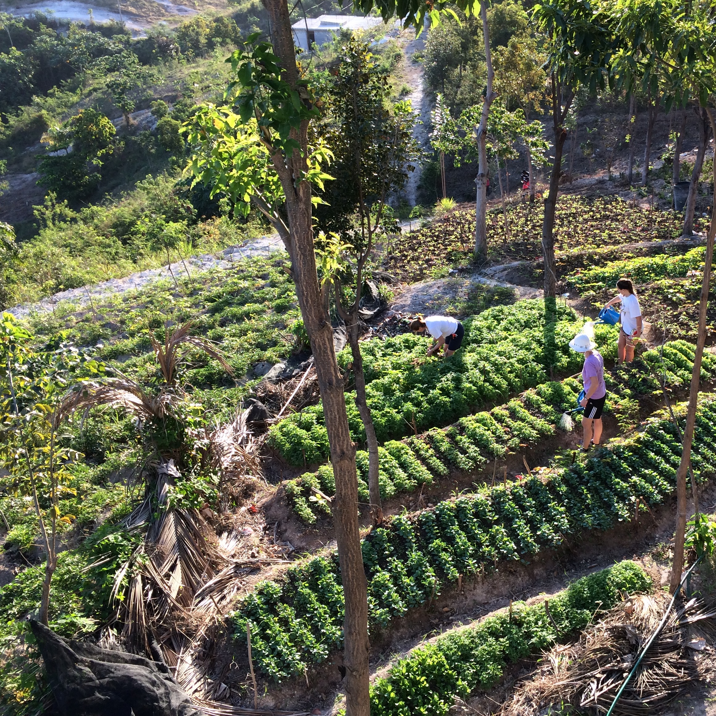 Photo 9 from Saint Rock Haiti Foundation