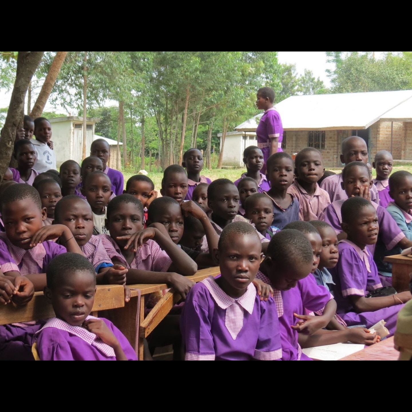 Photo 6 from KIWIMBI INTERNATIONAL