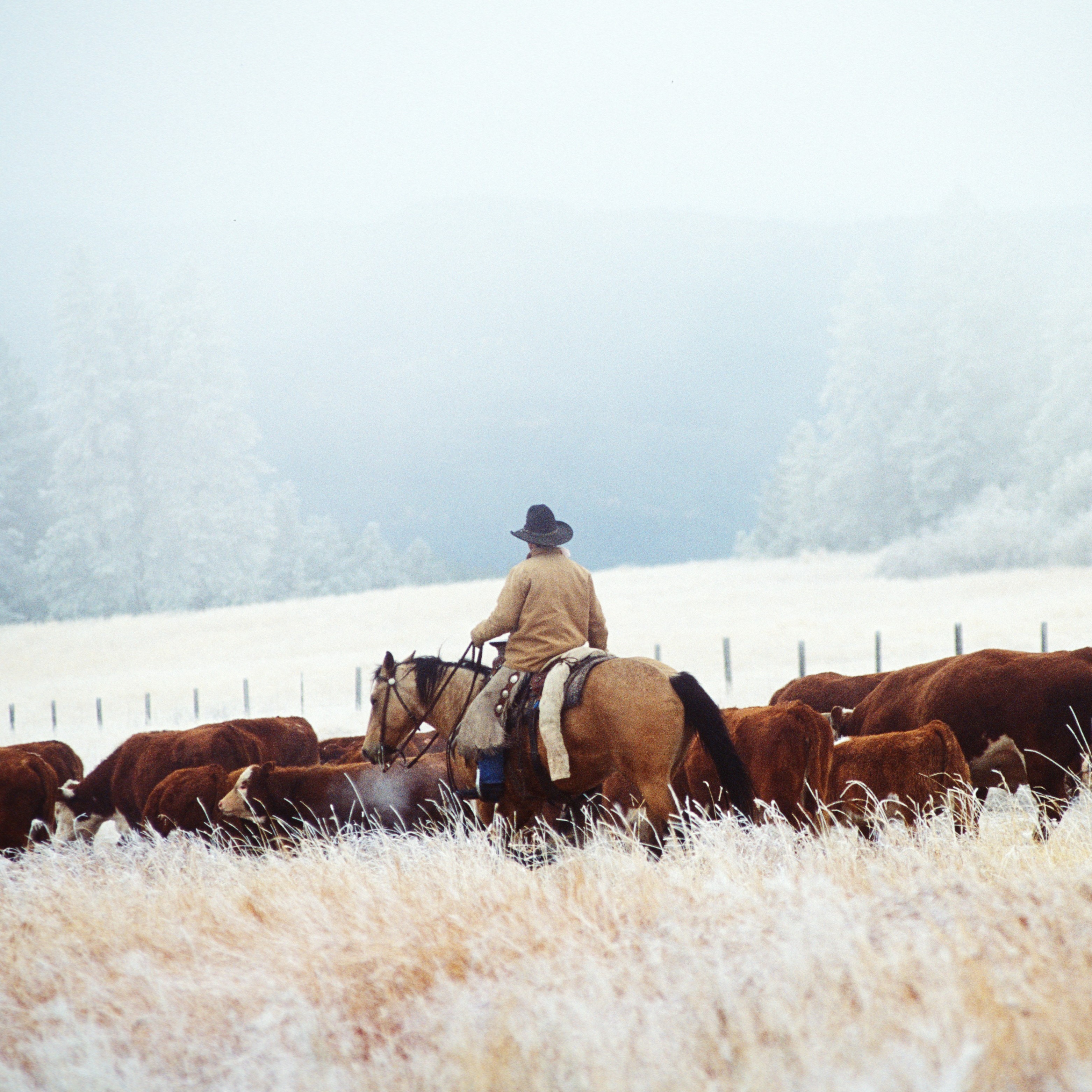 Photo 1 from One Montana