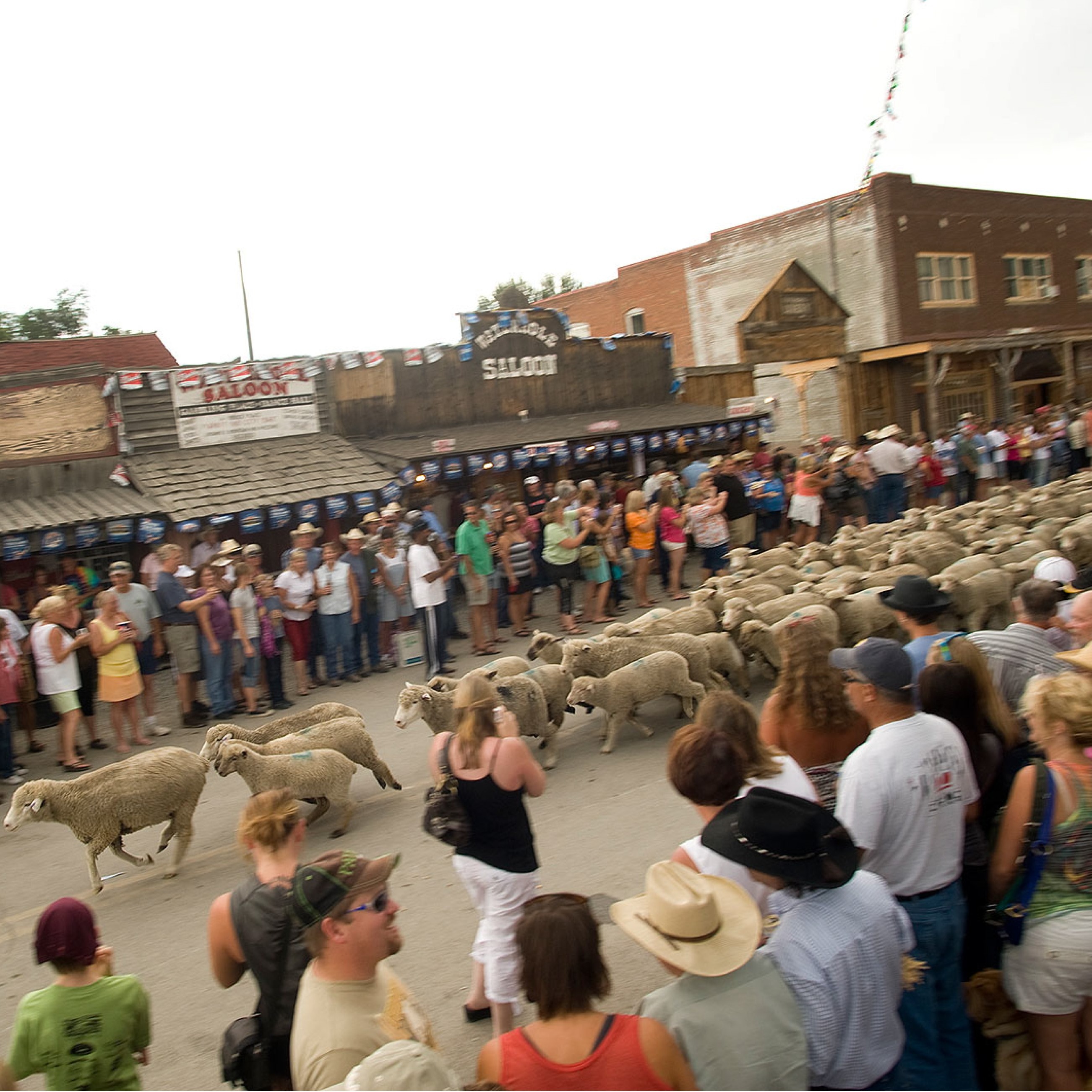 Photo 2 from One Montana