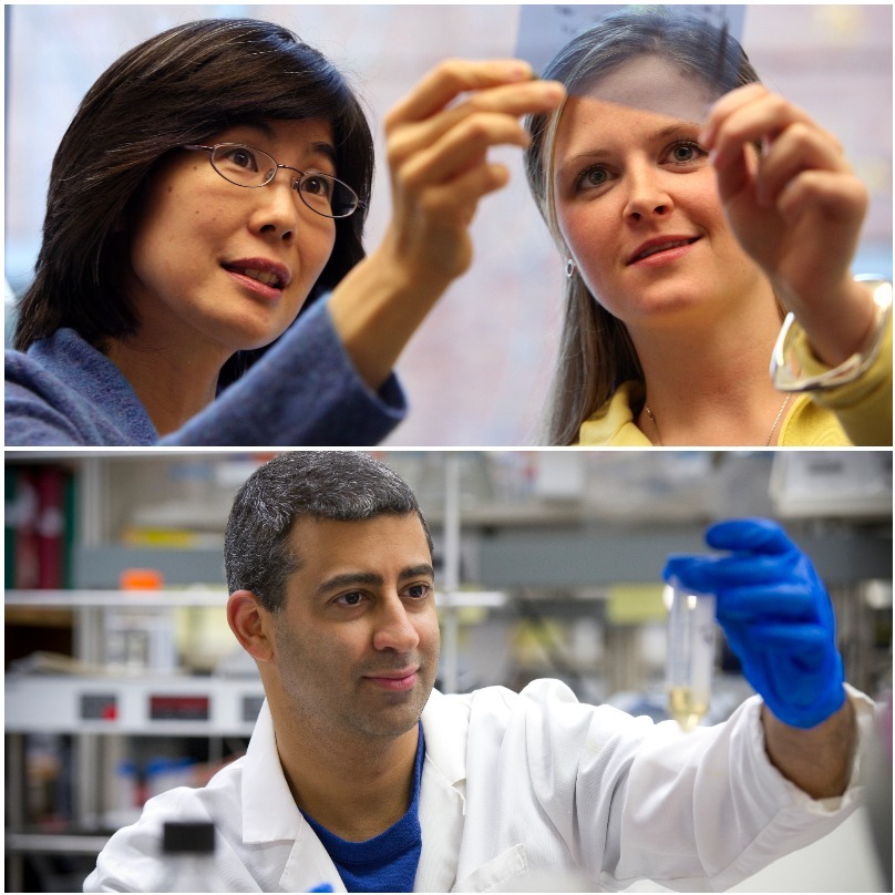 Photo 7 from St. Baldricks Foundation