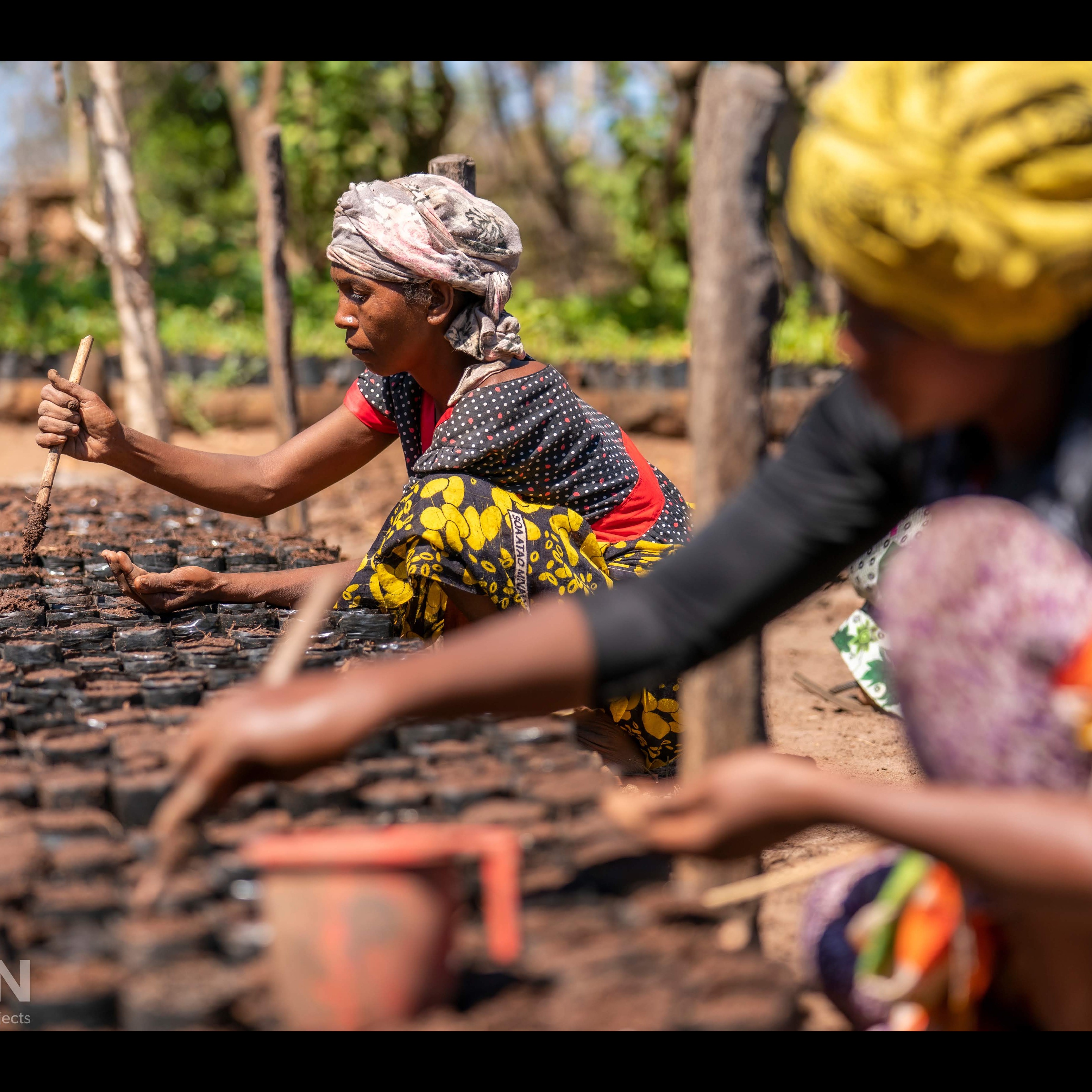 Photo 3 from Eden: People Planet