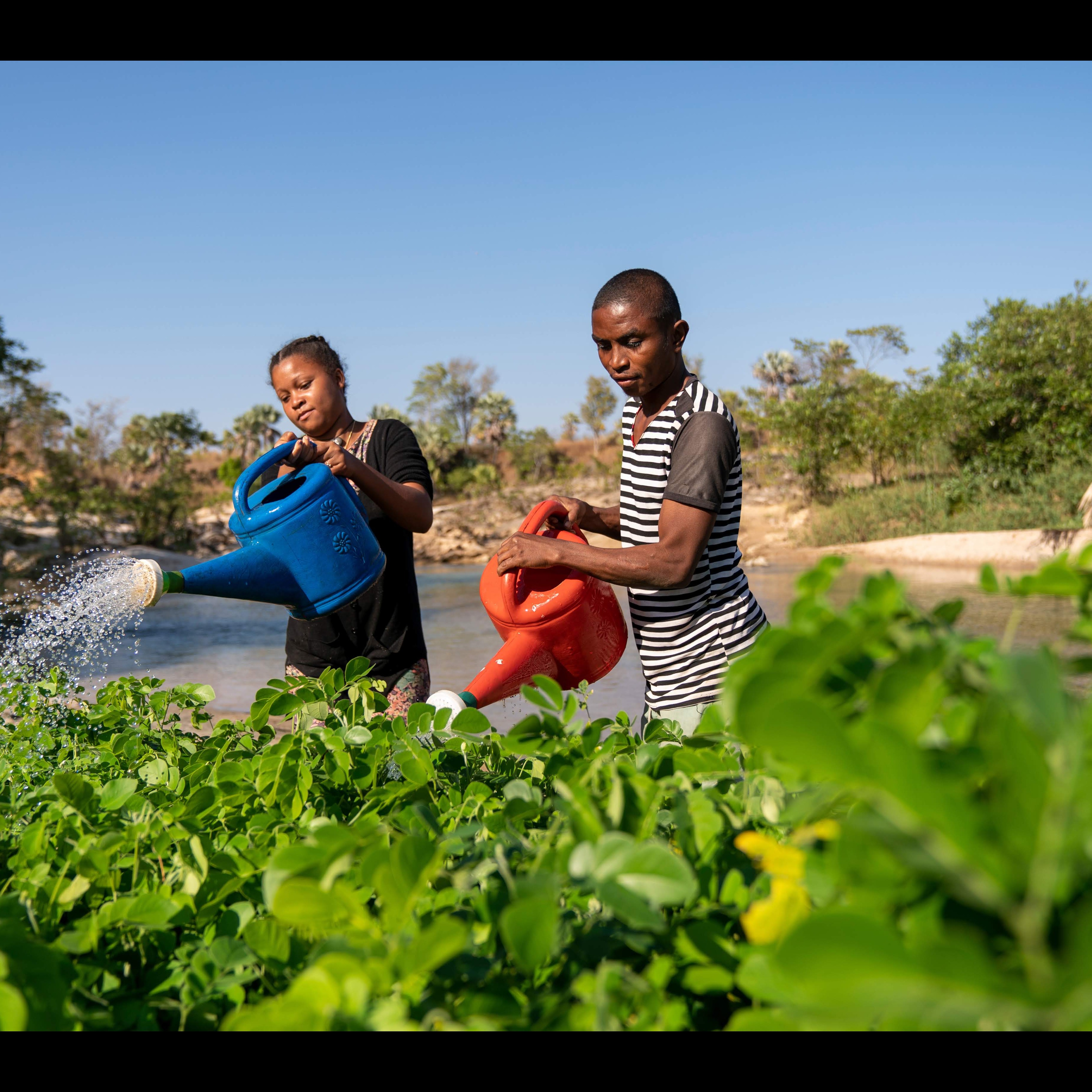 Photo 5 from Eden: People Planet