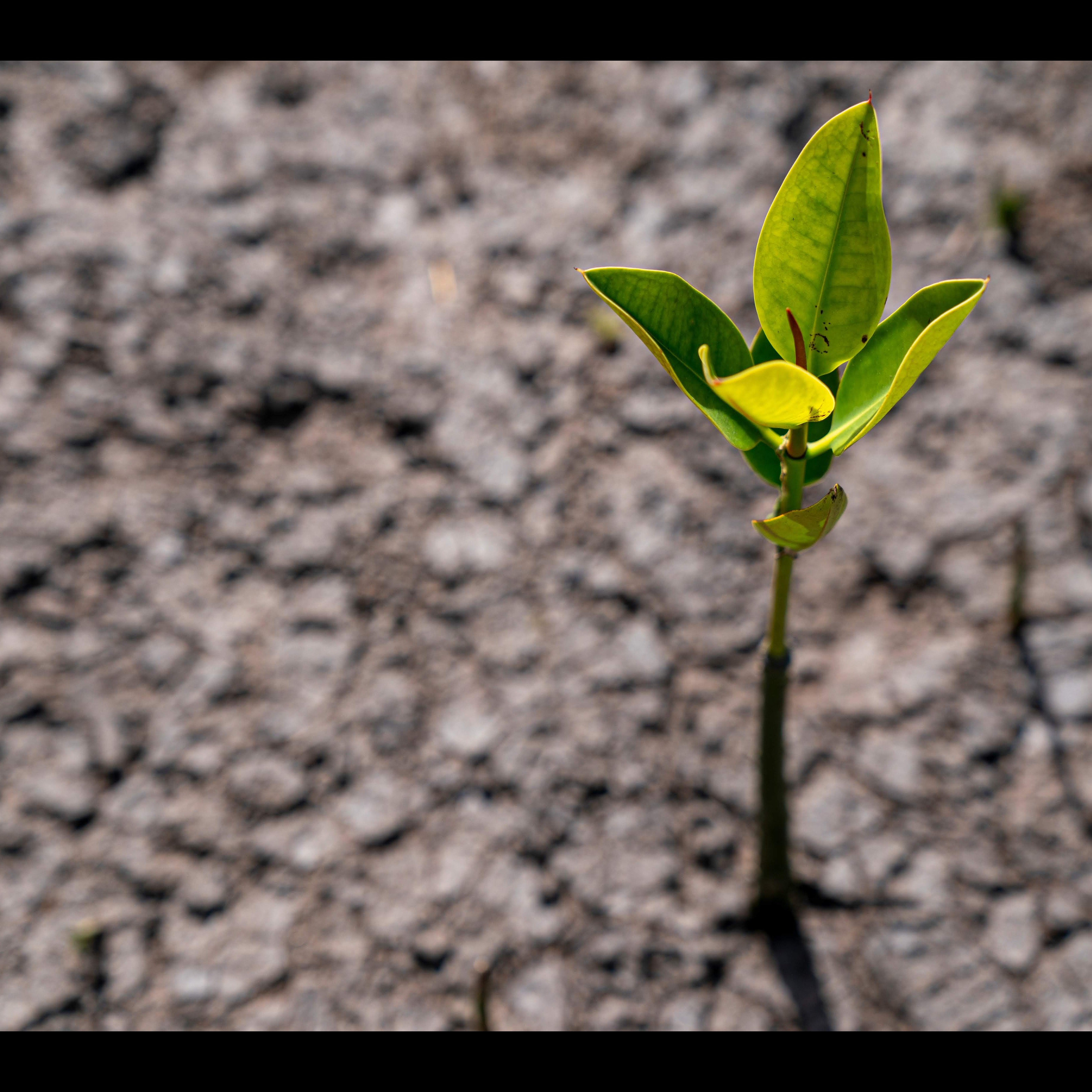 Photo 6 from Eden: People Planet