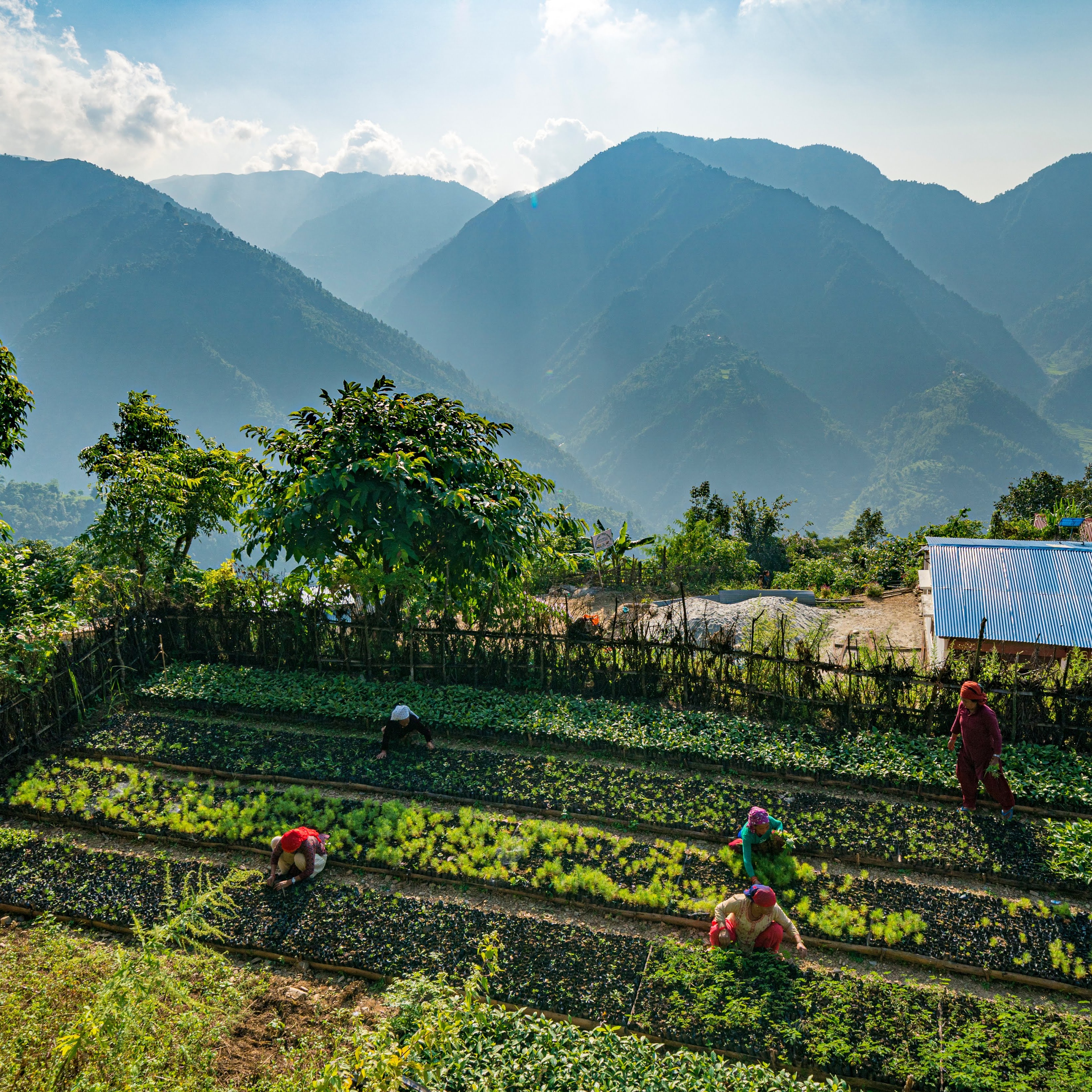 Photo 9 from Eden: People Planet