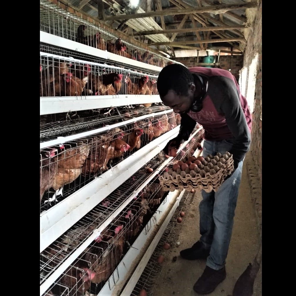 Photo 5 from Tender Grassroots