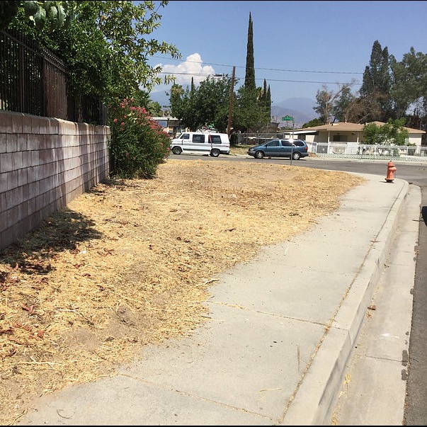 Photo 2 from Inland Empire Community Land Trust