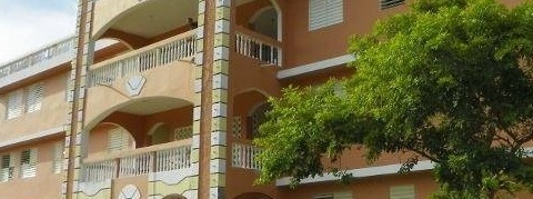 American Haitian Foundation