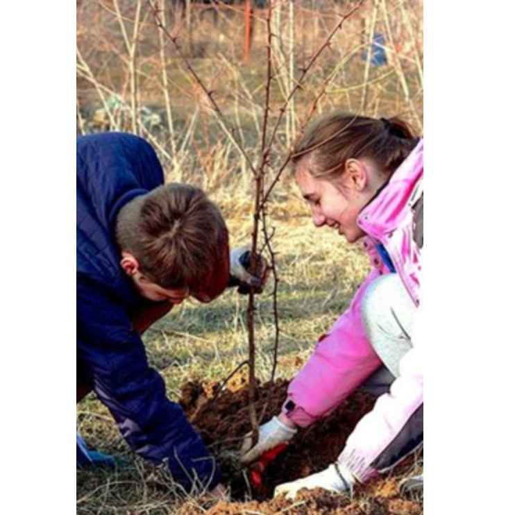 Photo 6 from The Friends of Moldova