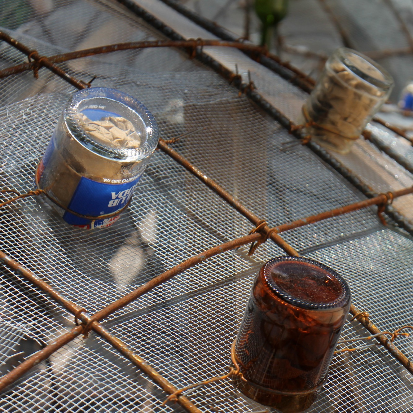 Photo 7 from Long Way Home