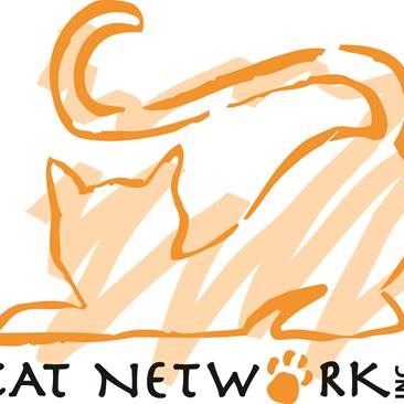Photo 1 from Cat Network, Inc.