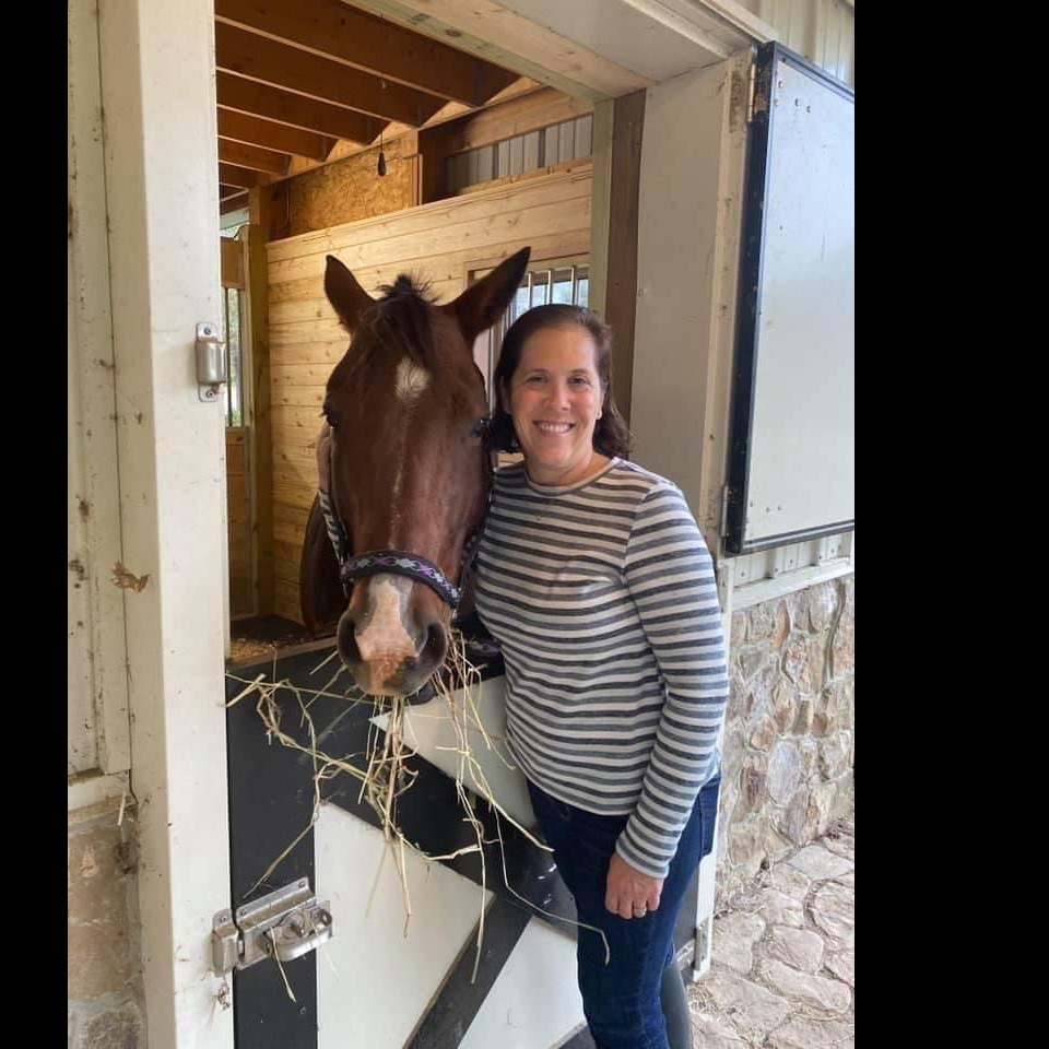 Photo 1 from Nalani Horse Rescue