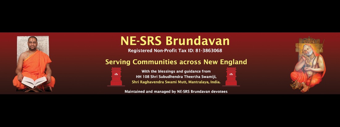 NE SRS Brundavan Inc cover