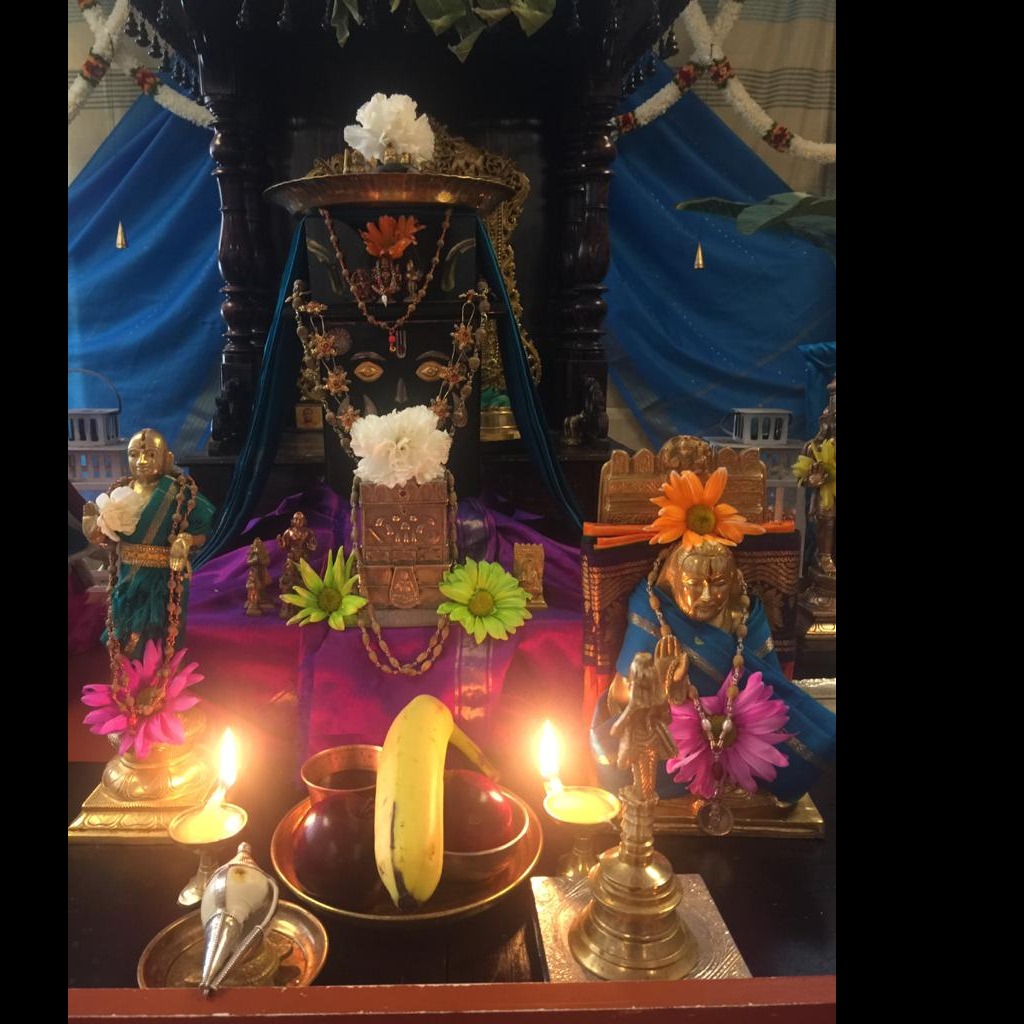 Photo 5 from NE SRS Brundavan Inc