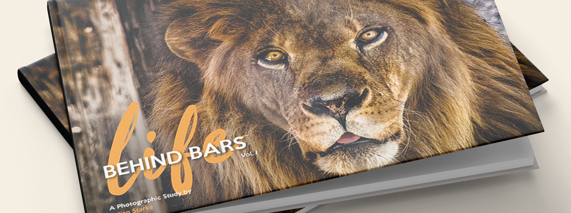 Visions of the World Inc