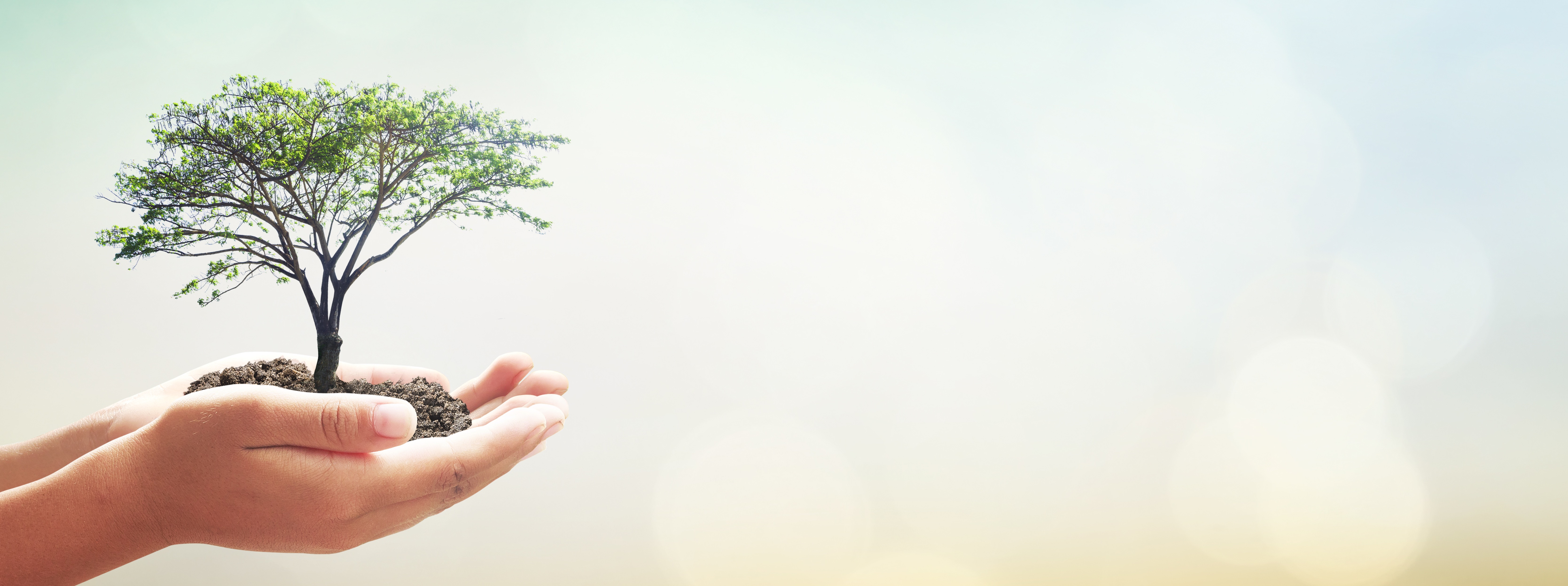 Meduni Unicare Medical Solutions Inc