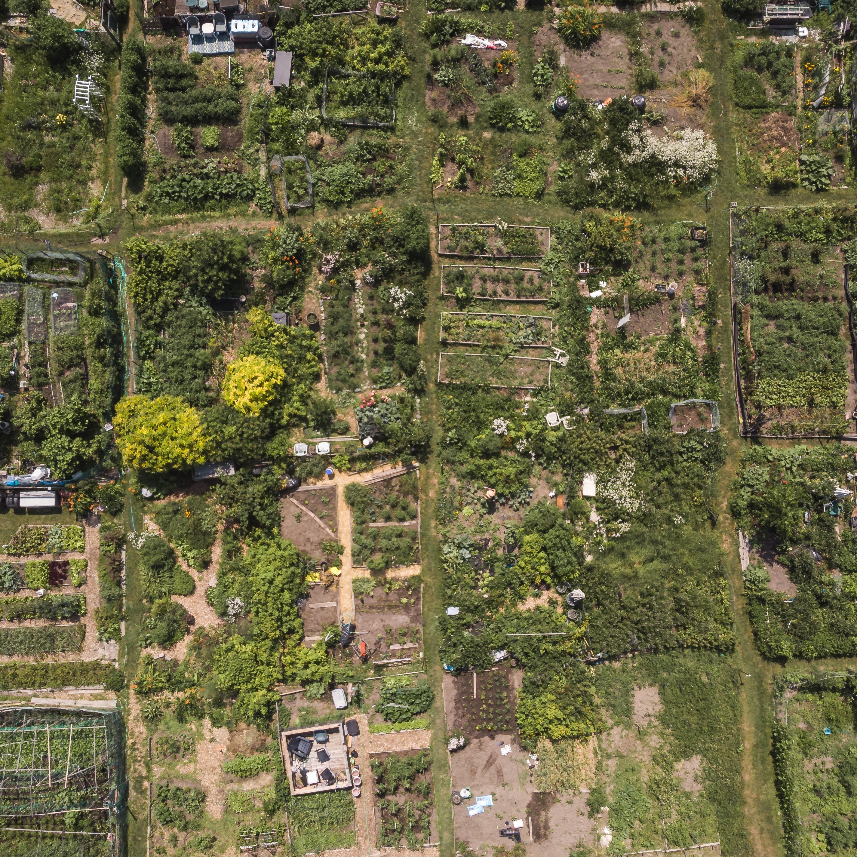 Photo 1 from Joy-Southfield Community Development Corporation