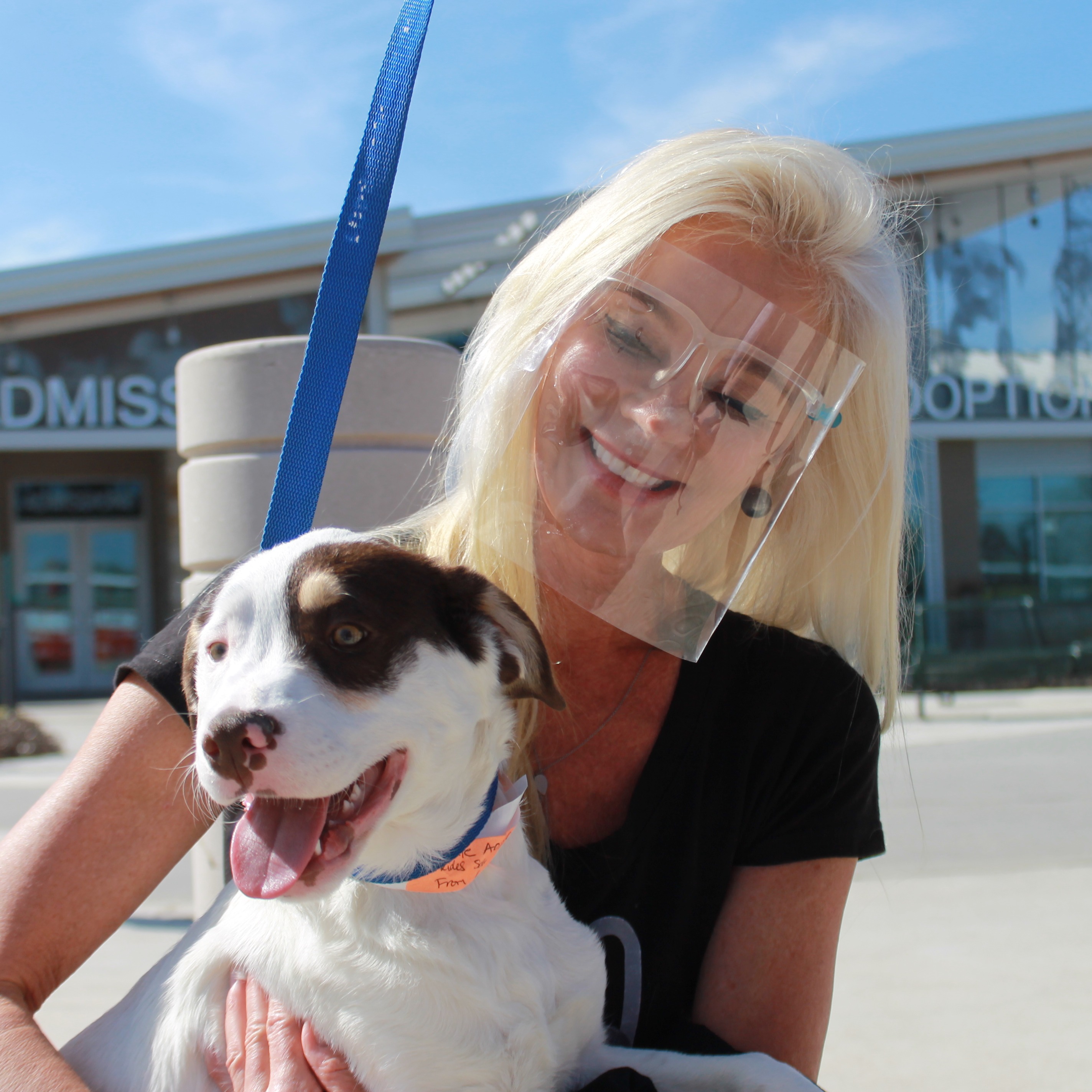 Photo 2 from Houston Petset