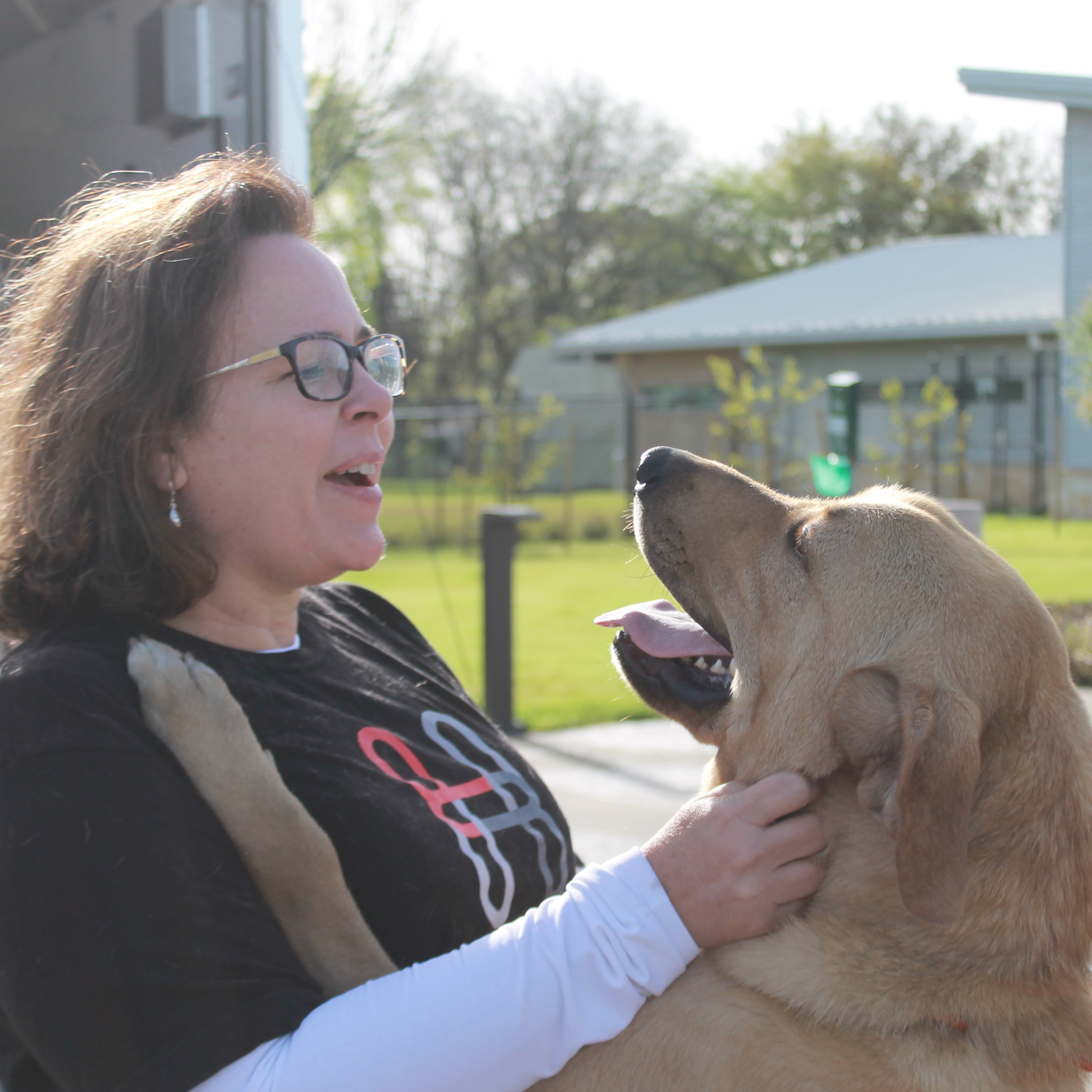 Photo 4 from Houston Petset