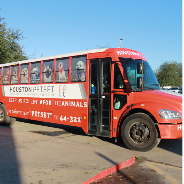 Photo 10 from Houston Petset