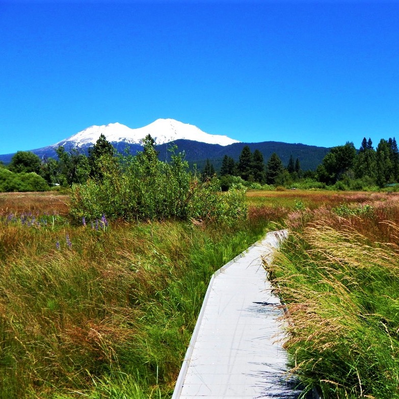 Photo 1 from McCloud Healthcare Clinic, Inc.