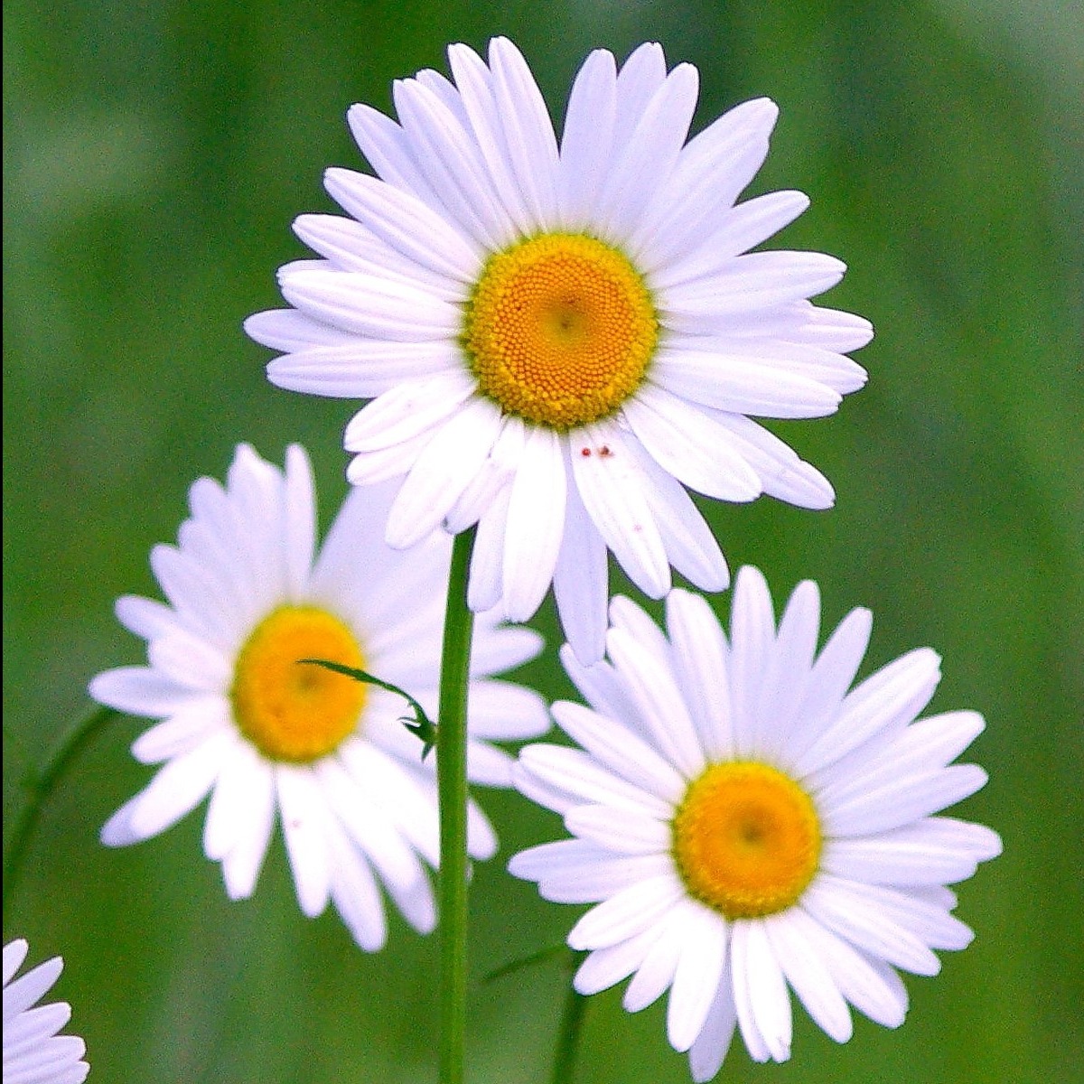 Photo 9 from McCloud Healthcare Clinic, Inc.