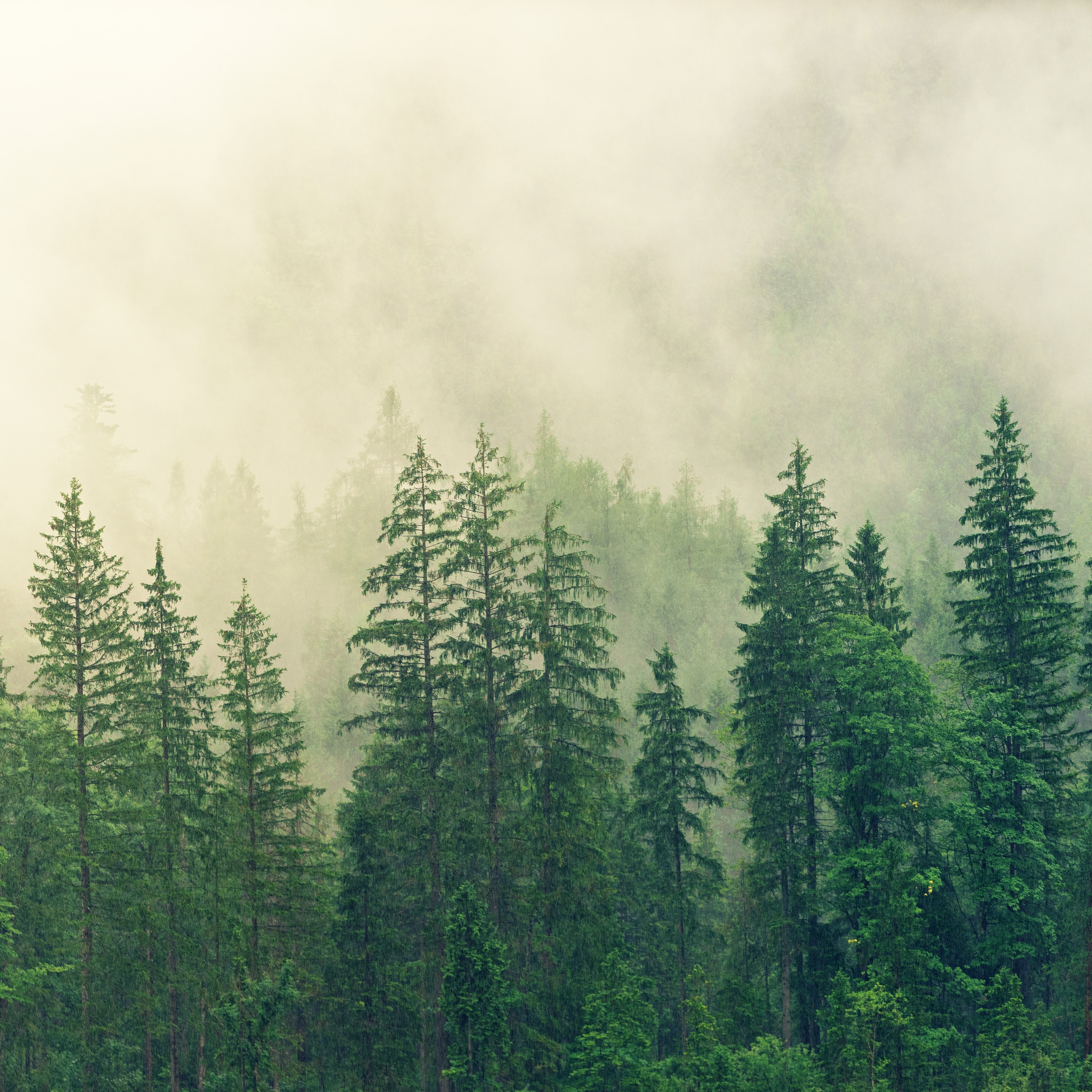 Photo 5 from McCloud Healthcare Clinic, Inc.