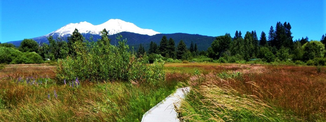 McCloud Healthcare Clinic, Inc.