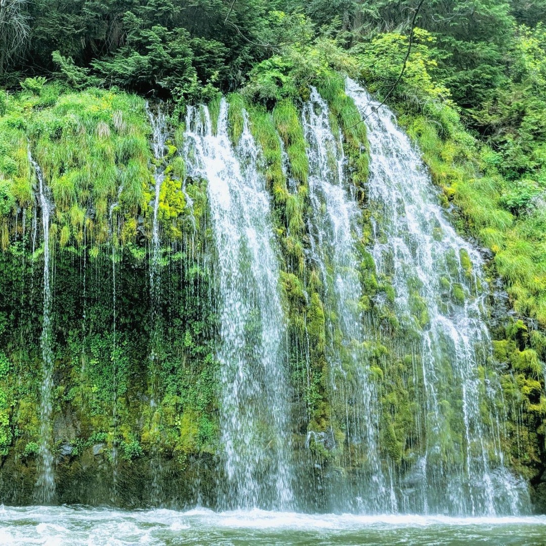 Photo 3 from McCloud Healthcare Clinic, Inc.