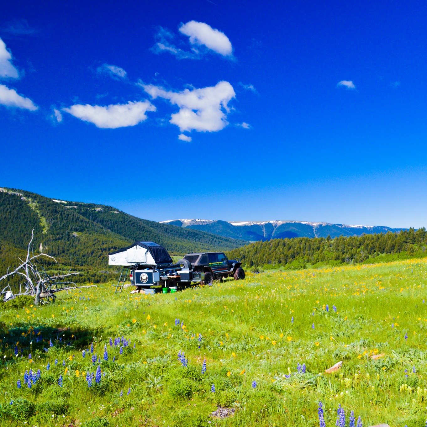 Photo 8 from Homeward for Heroes