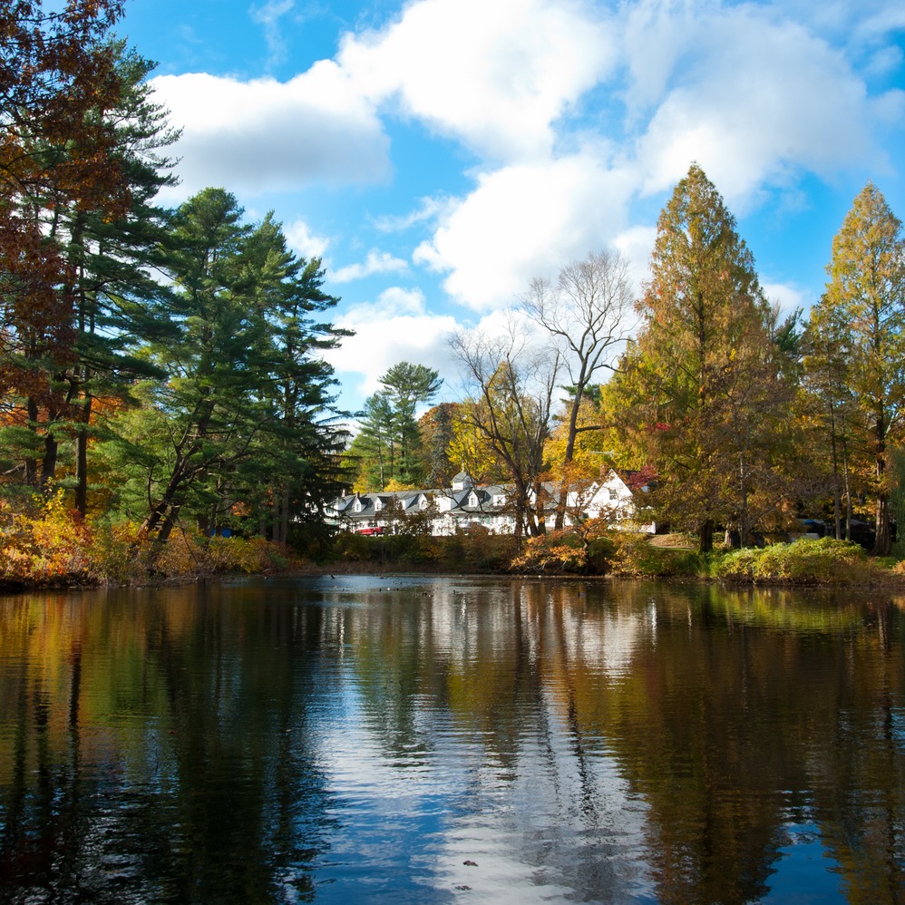 Photo 4 from Friends of Nassau County Bailey Arboretum